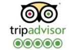 Trip Advisor Logo